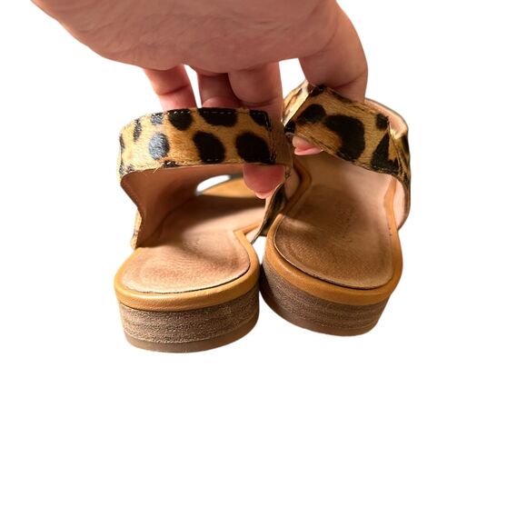 MADEWELL Tavi Leopard Calfhair Slingbacks Sz 7 - Picture 4 of 6